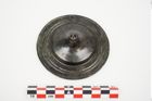 Foto von Bronzephalere (NHMW-PRAE-025105)